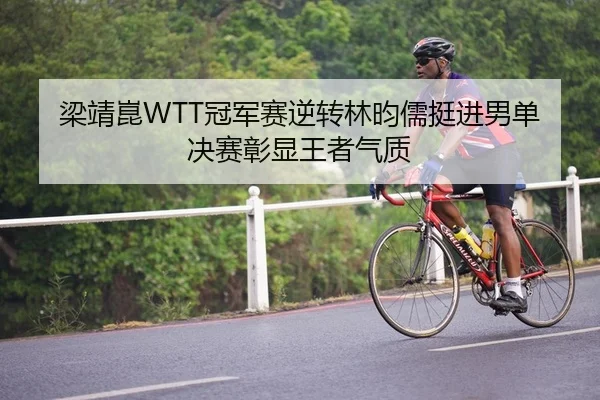 梁靖崑WTT冠军赛逆转林昀儒挺进男单决赛彰显王者气质